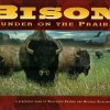Bison: Thunder on the Prairie