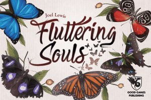 Boîte du jeu Papillons Celestes